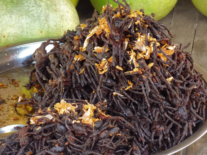 Locals remove the urticating hairs and eat them roasted. Traditional dish of the bird-eating spider