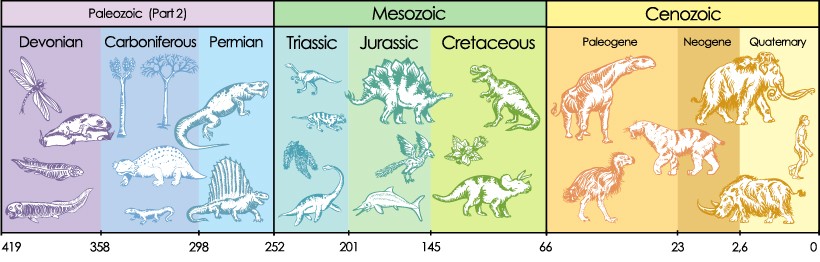 paleozoic mesozoic cenozoic infographic